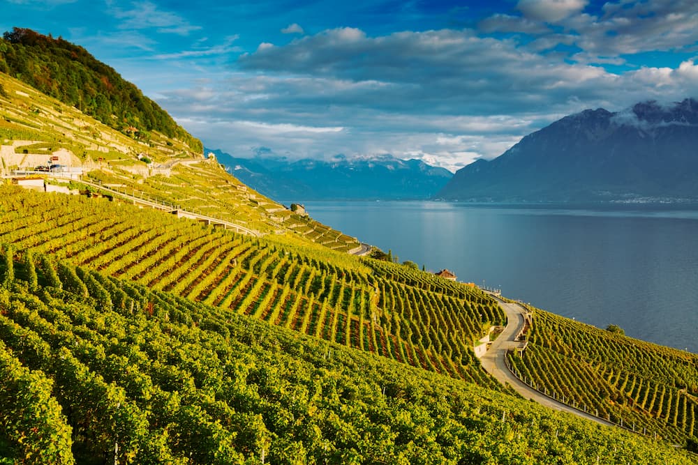 Lavaux Vineyards on lake Geneva