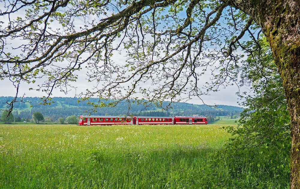Train à destination et en provenance du lac de Brienz
