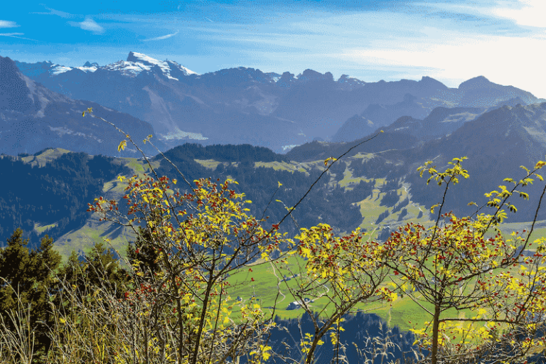 Best Hikes Near Zurich Stunning Trails to Explore SwitzerLanding