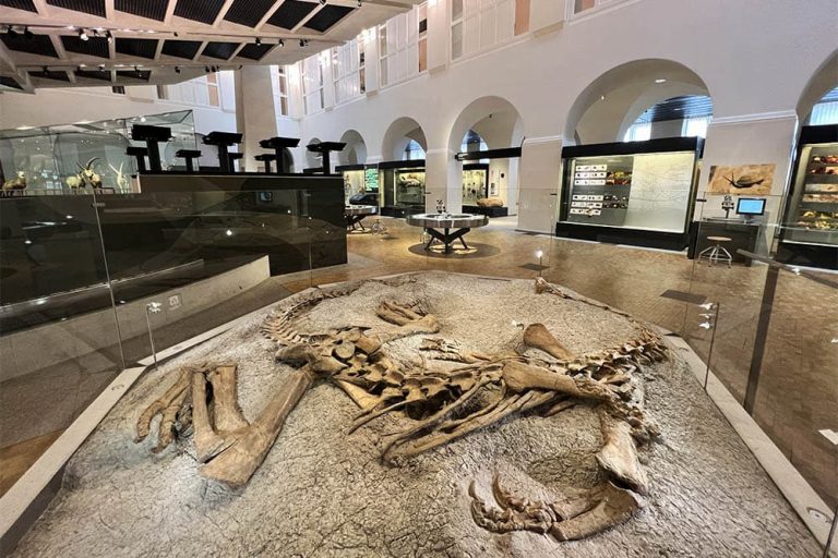 10 Best Museums In Zurich (Art, History & More) SwitzerLanding