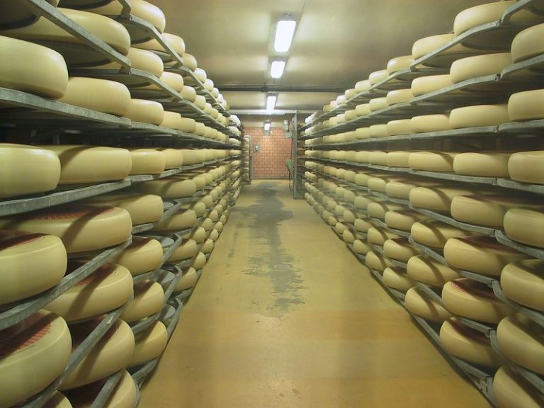 Swiss Cheese Excellence Top Factories You Must Visit SwitzerLanding