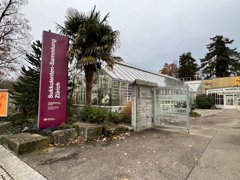 Zurich Succulent Plant Collection (Worth A Visit) SwitzerLanding