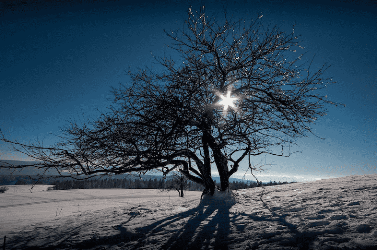 Visiting The Jura Mountains Your Ultimate Guide SwitzerLanding