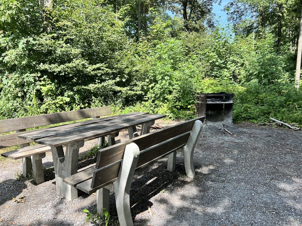 Fireplace and picnic spot