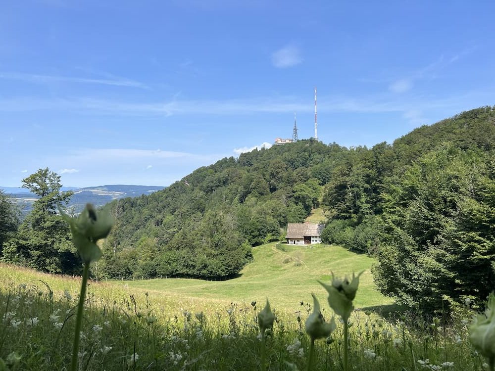 Planetenweg trail - View back to the Uetliberg
