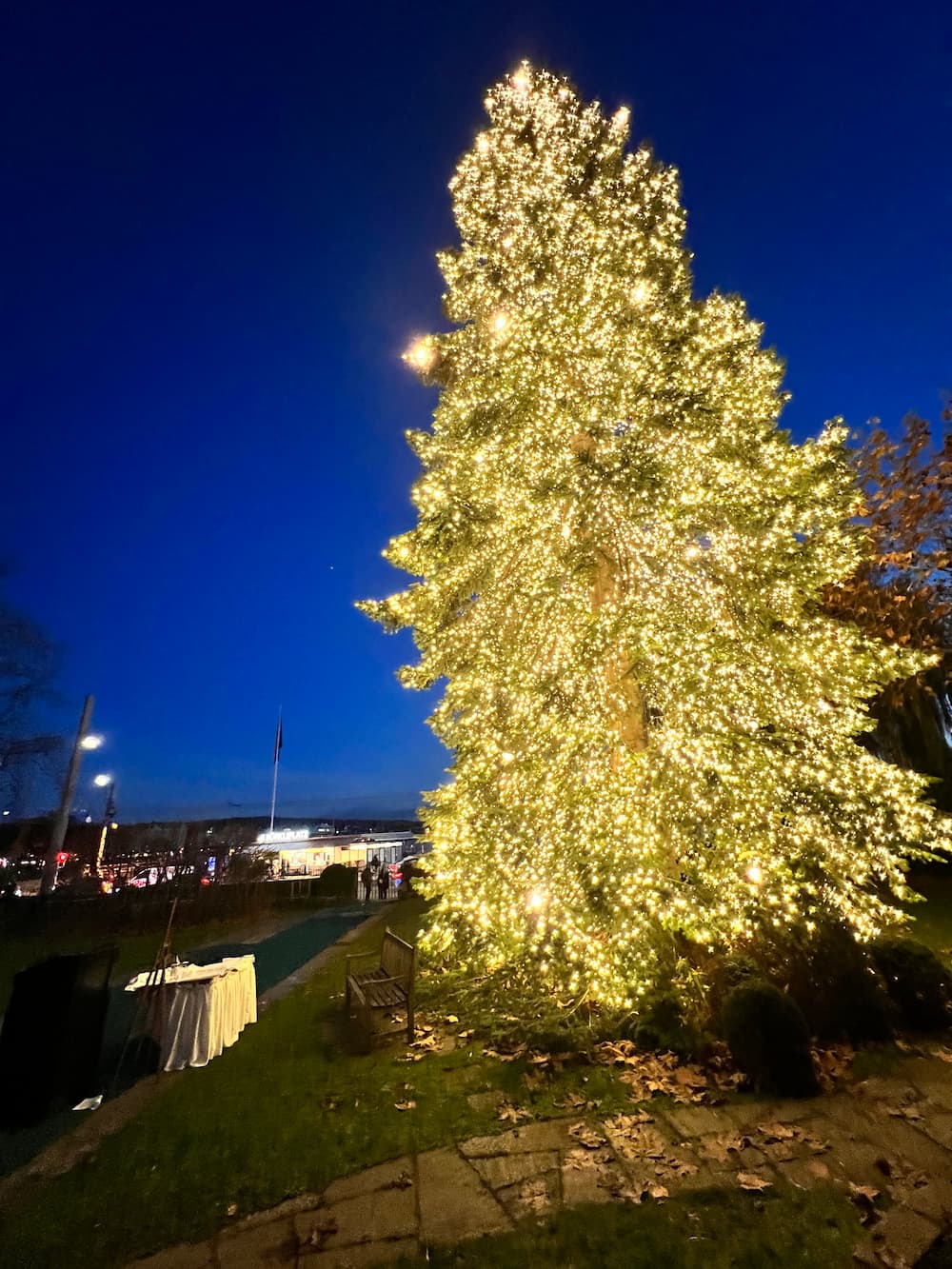 Experience Christmas in Zurich A Season To Remember SwitzerLanding