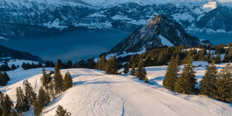 Mount Rigi: Your Ultimate Guide to Visiting The Queen of the Mountains ...