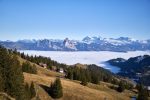 Mount Rigi: Your Ultimate Guide to Visiting The Queen of the Mountains ...