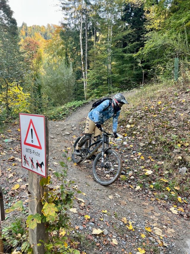 TOP THINGS TO DO IN ZUG visual data 3